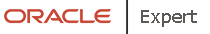 Oracle Partner Logo