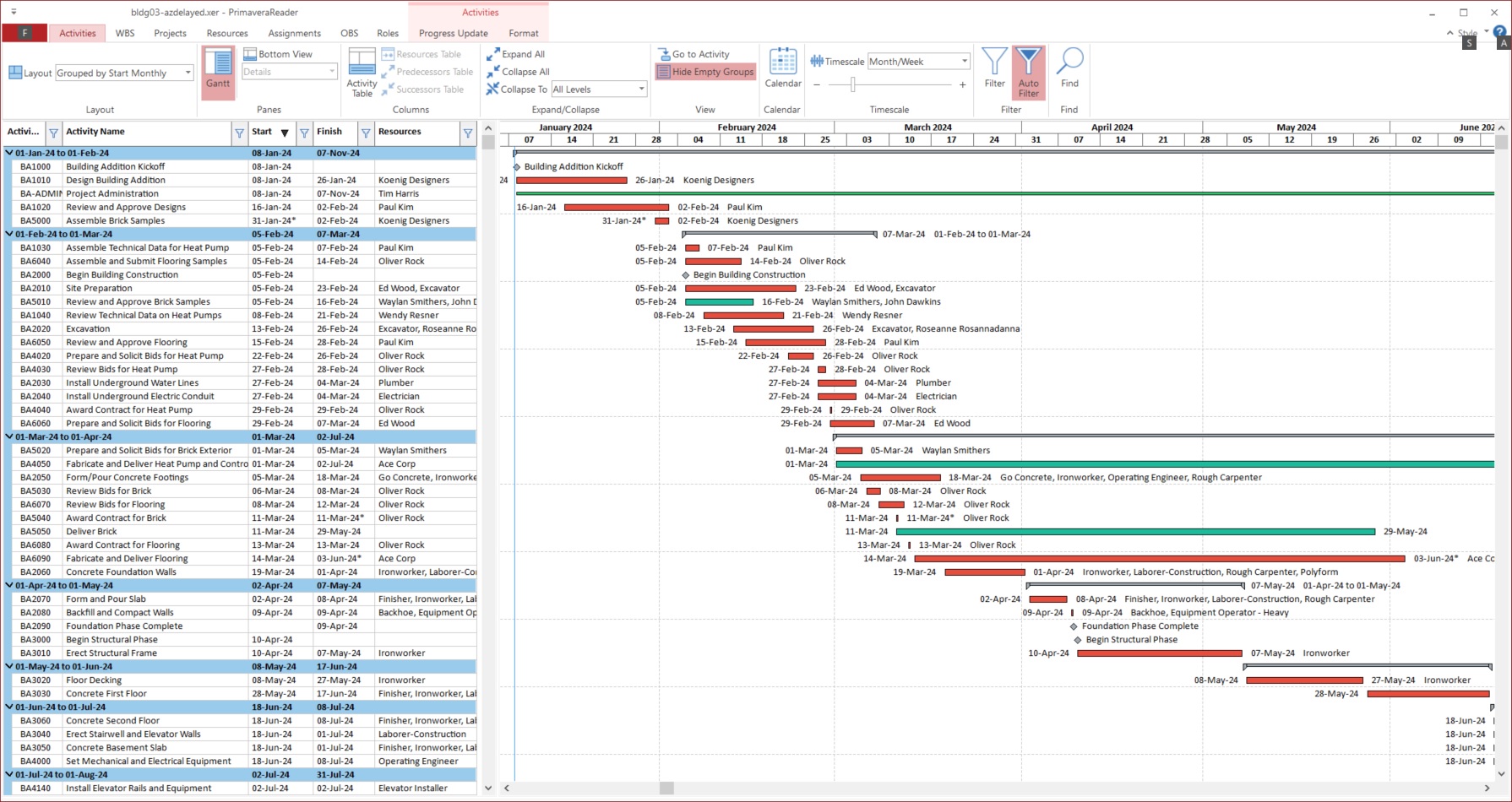 Primavera Reader Aktivite Filtreleme